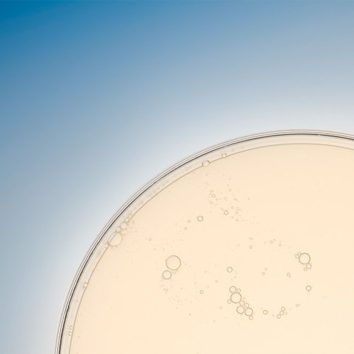 ESTEE LAUDER-Advanced Night Repair - Soothing Concentrate